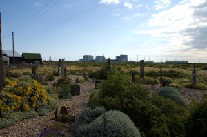 Derek Jarman\'s garden, Dungeness