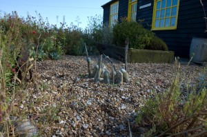Derek Jarman\'s garden, Dungeness