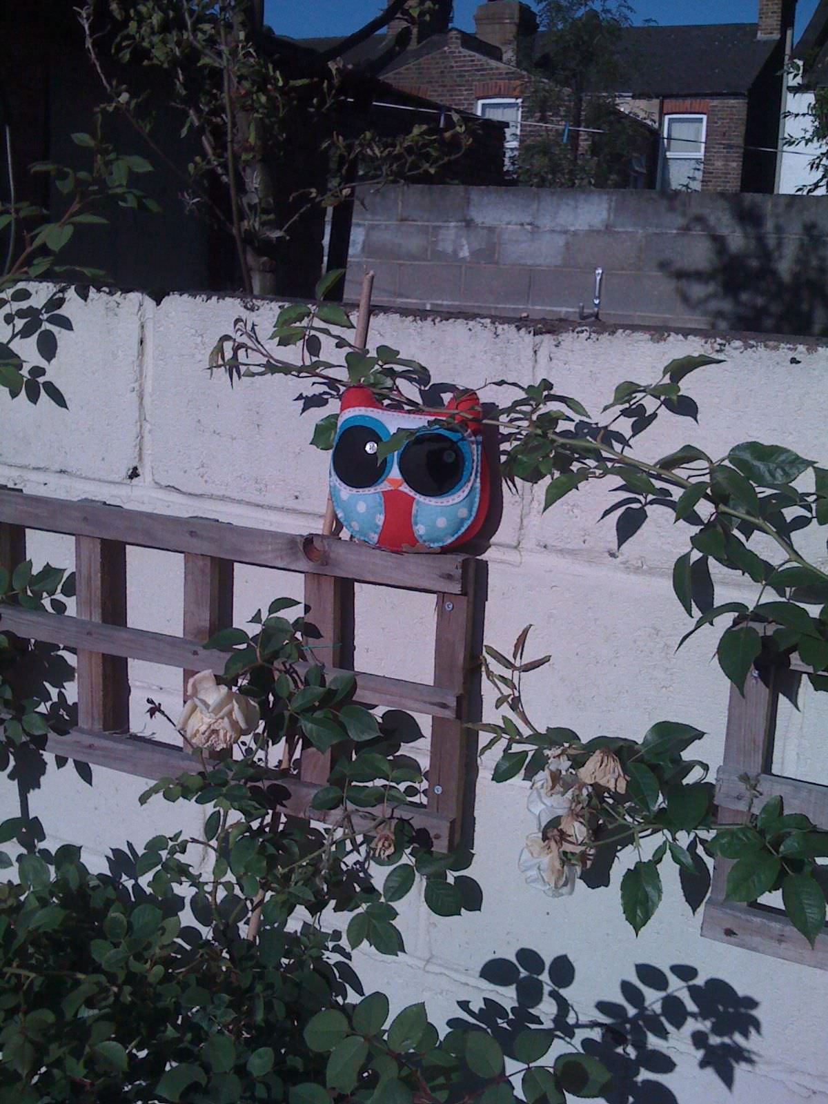 owl