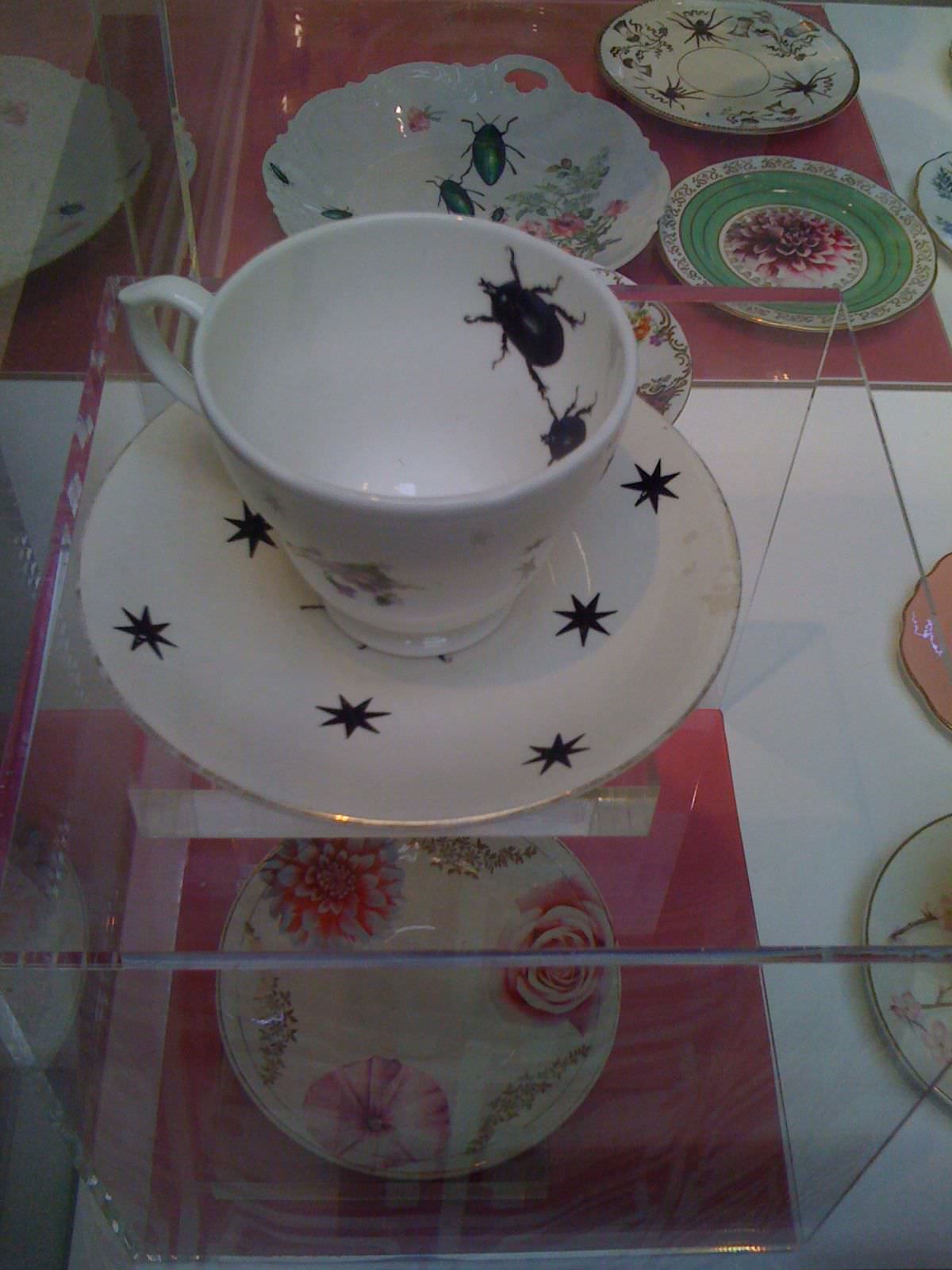 tea cups with bugs tea cups with bugs