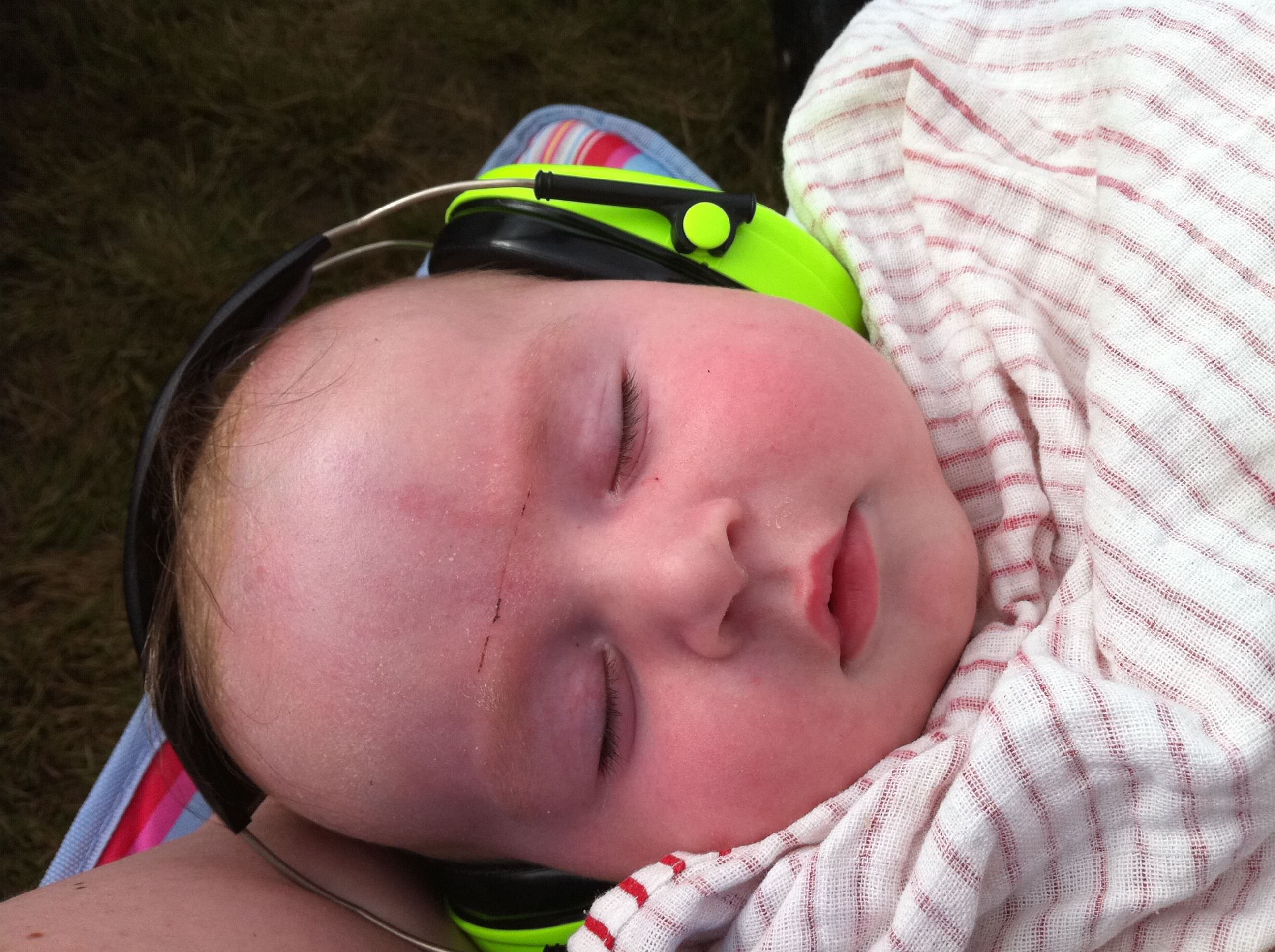 Peltor ear defenders