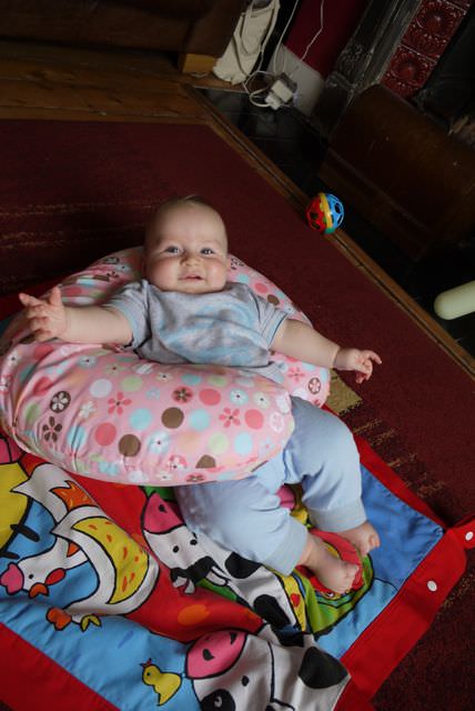 boppy