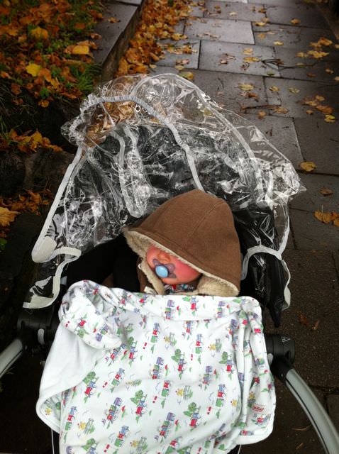 Quinny in the rain