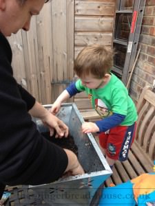 planting seeds