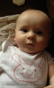 Martha and the Bunny Brothers onesie