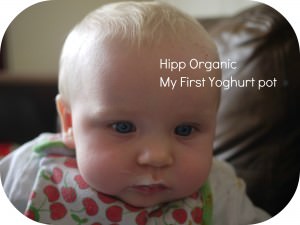 first yoghurt pot