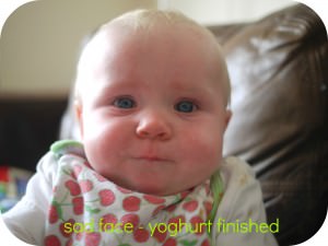 yoghurt finished