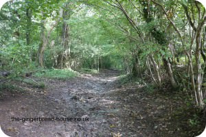 ancient drovers road
