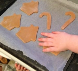 gingerbread biscuits