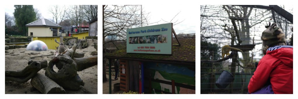 children's zoo