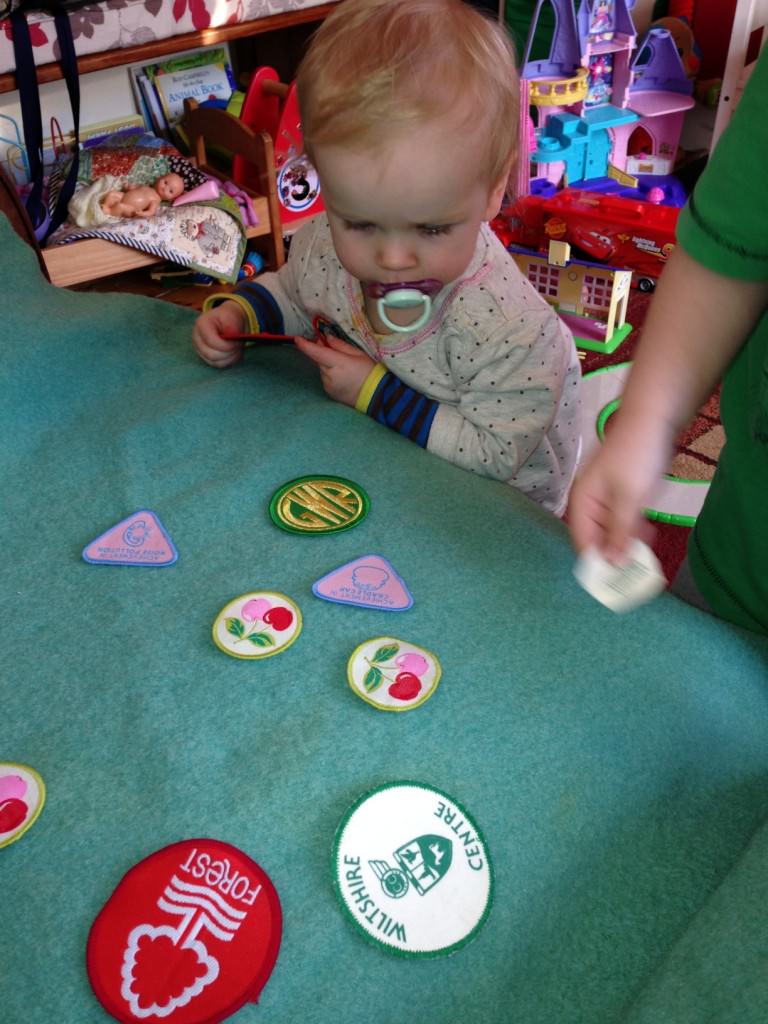 badge blanket
