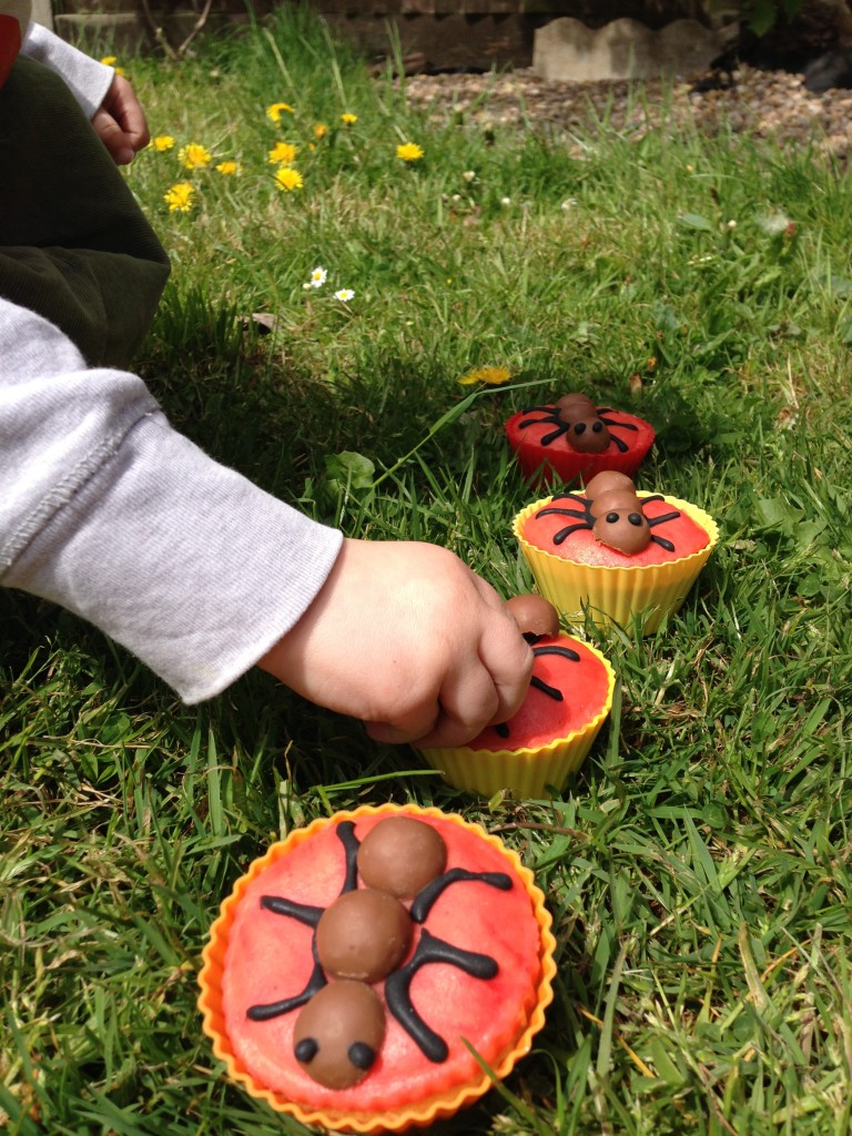 Creepy crawly cupcakes