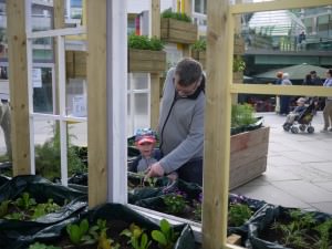 Queen's Walk Window Gardens
