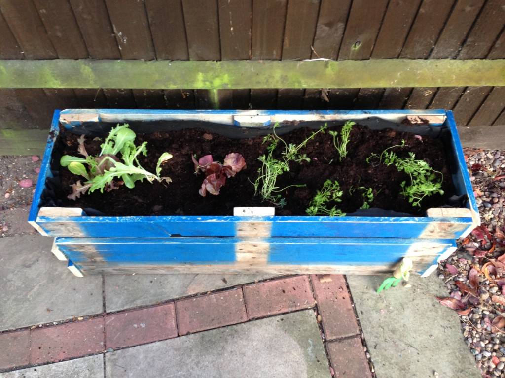 wooden pallet planter (1)