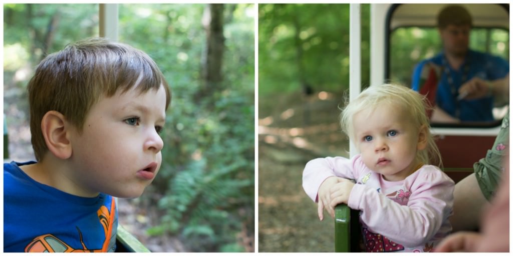 Ruislip Lido train
