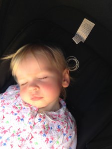comfy Bugaboo Bee
