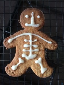 gingerdread biscuits