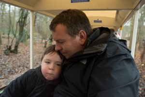 train