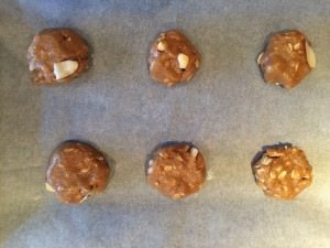 granola cookies