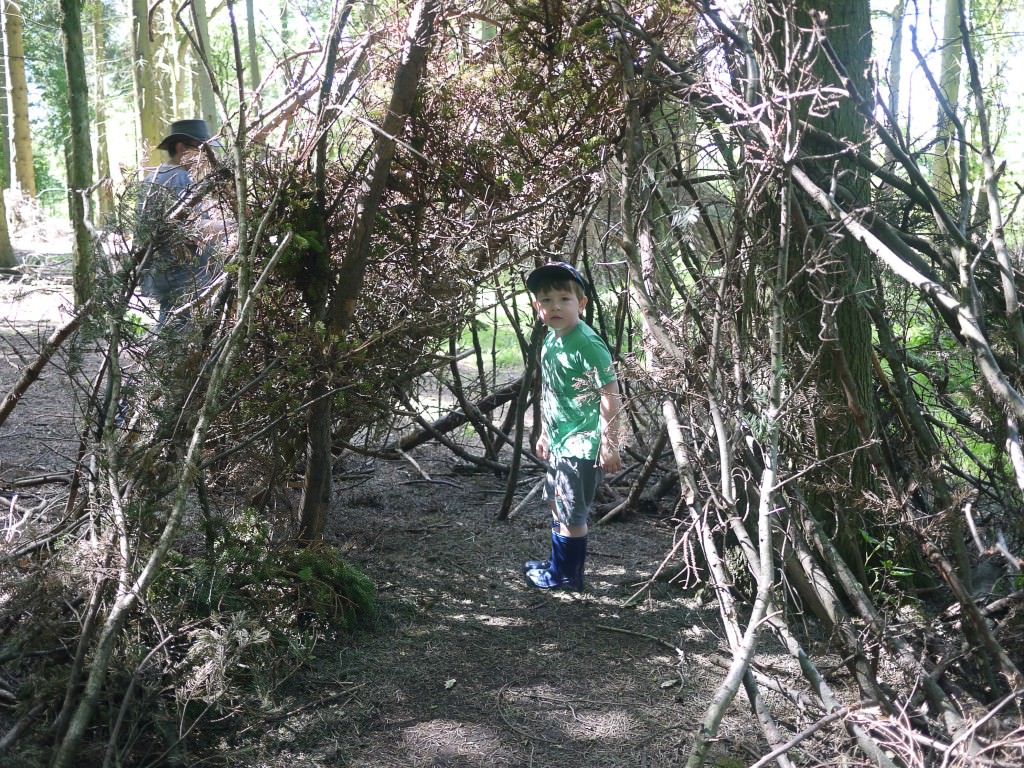 den building wendover woods - holly be tells
