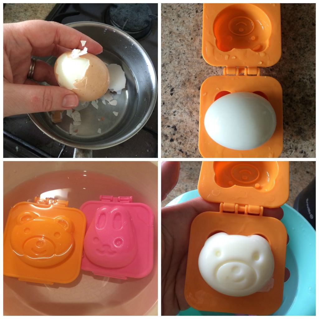 how to use an egg mold - holly be tells
