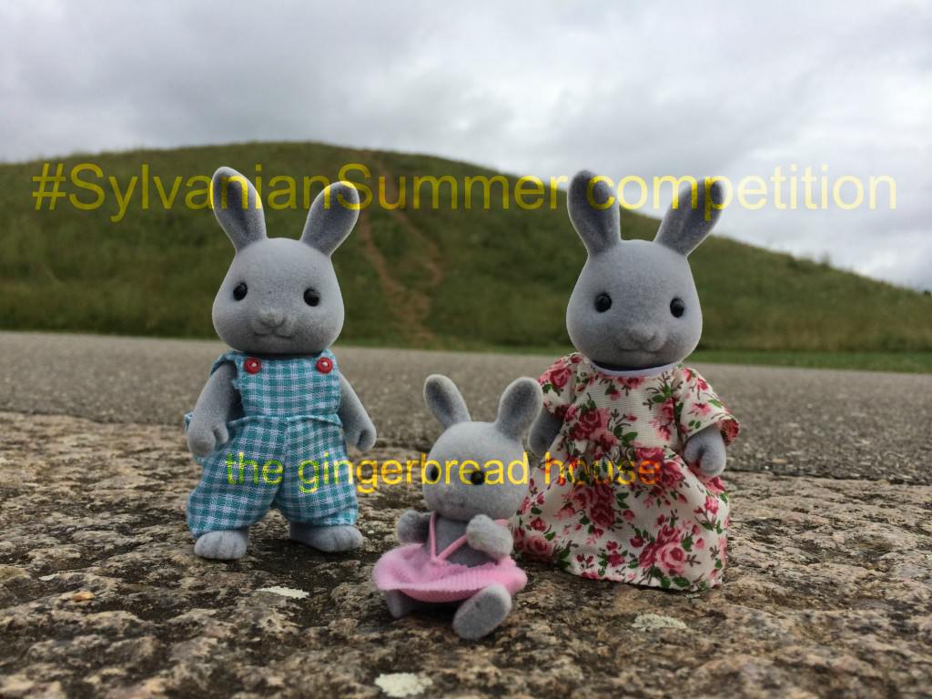 #SylvanianSummer competition