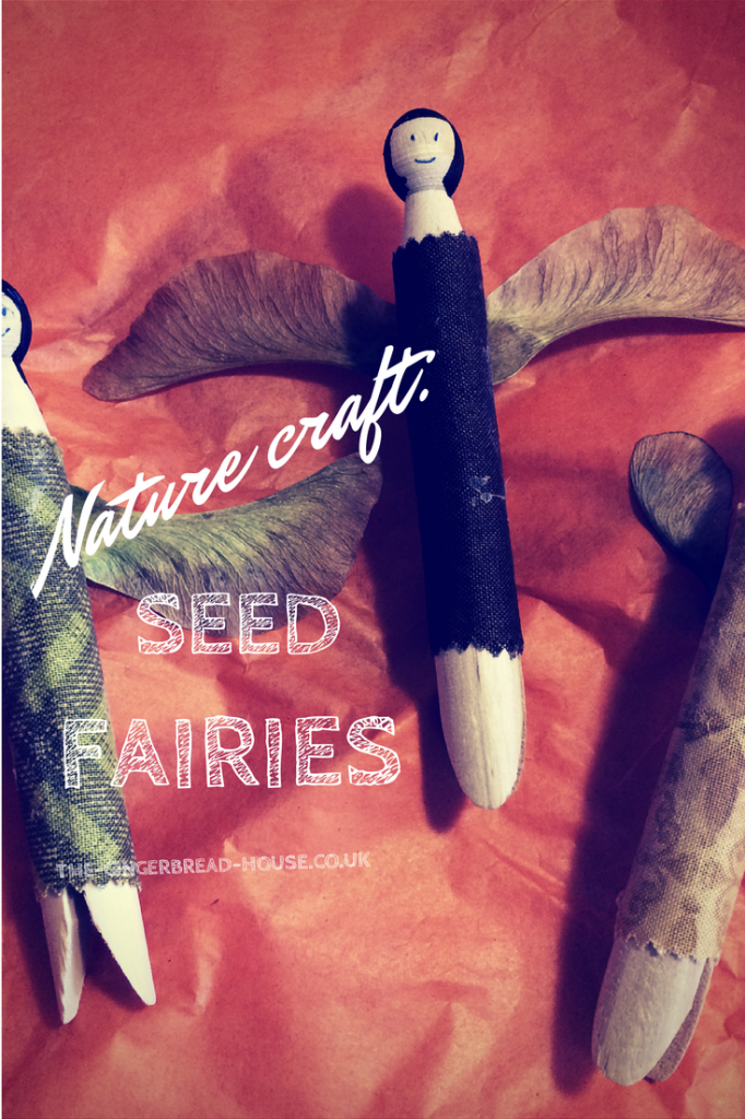 seed fairies - holly be tells