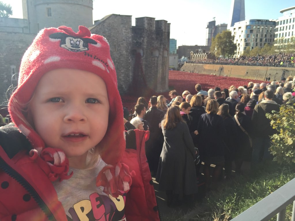 poppies at the Tower of London