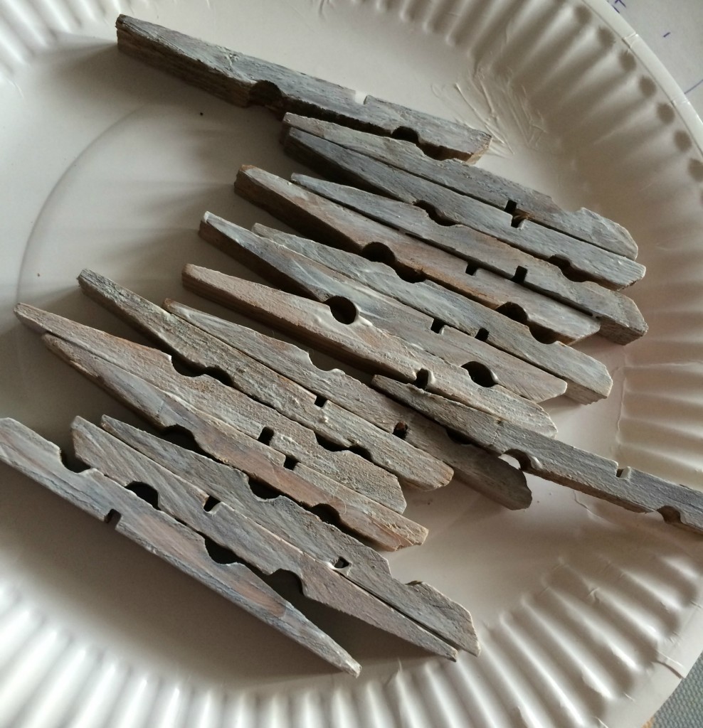 silver clothes pegs