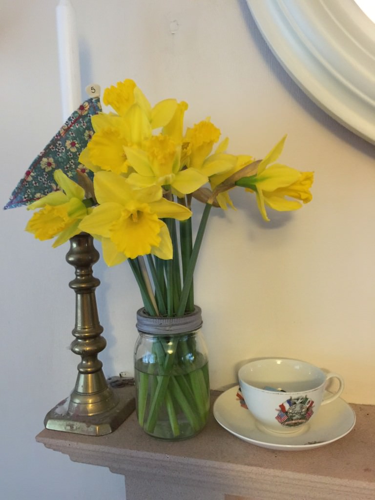 daffodils