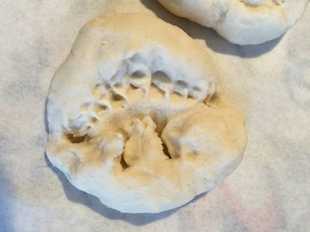 DIY dinosaur fossils