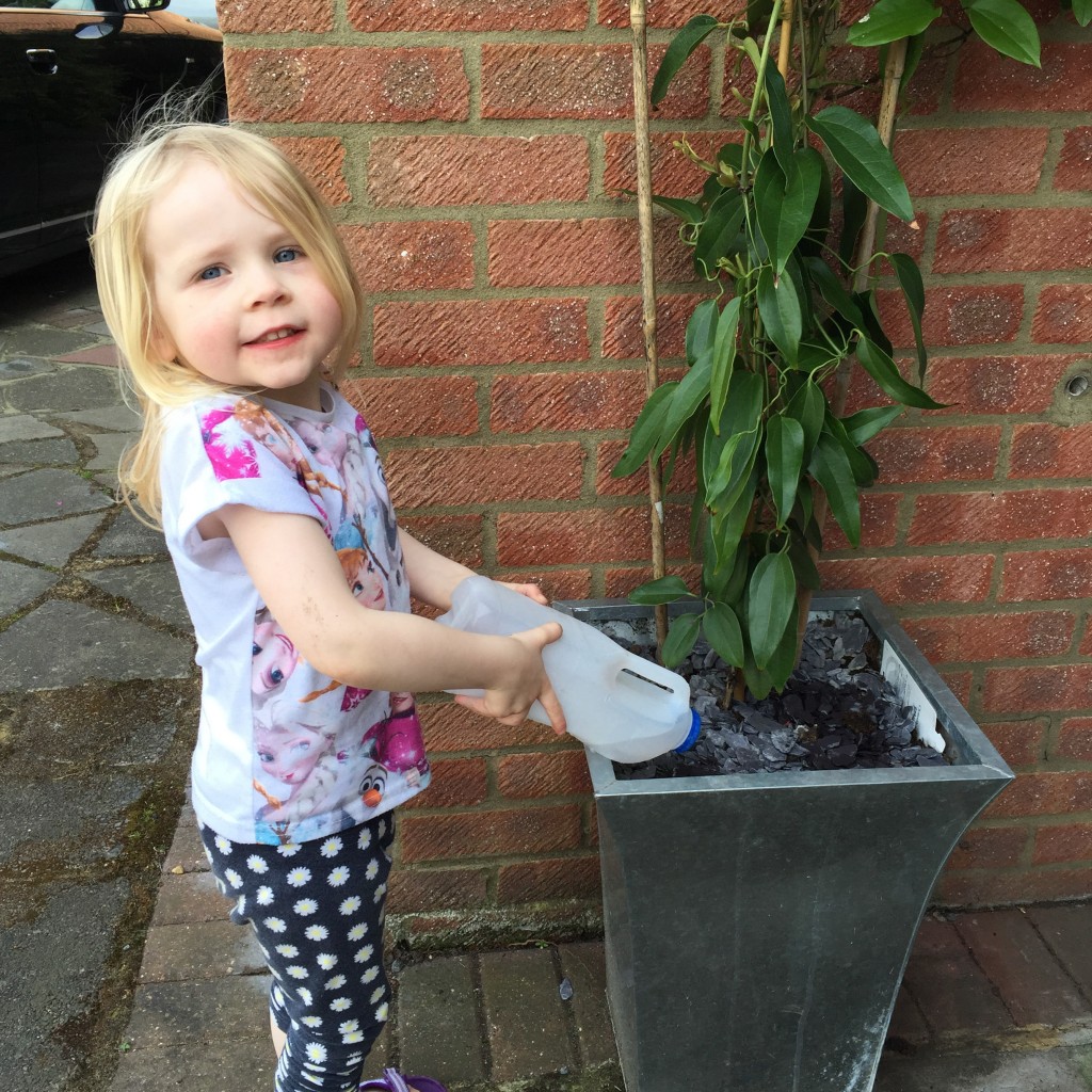 recycled milk bottle watering can craft