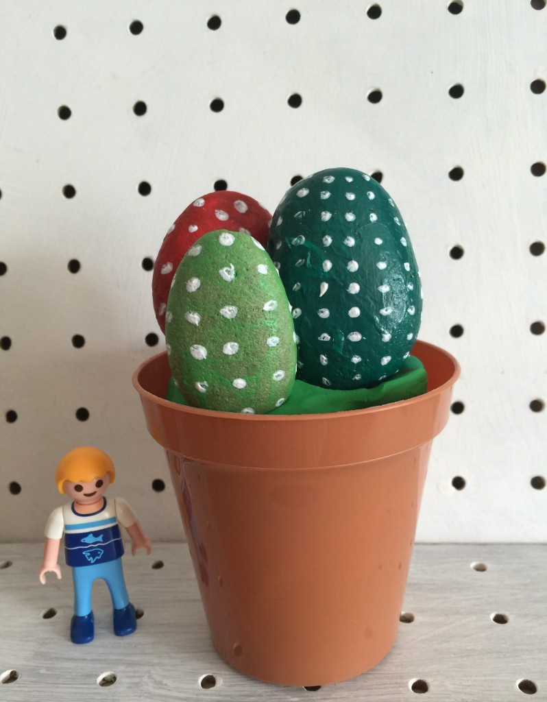 pebble cactus plants - holly be tells