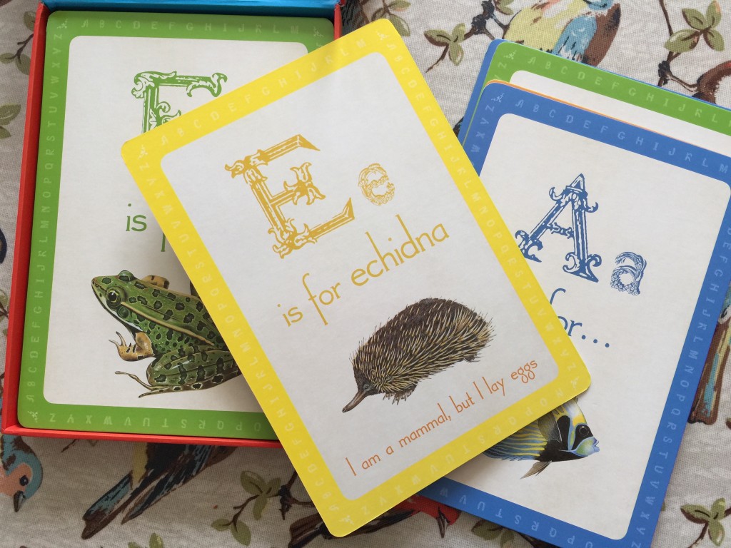 animal flash cards