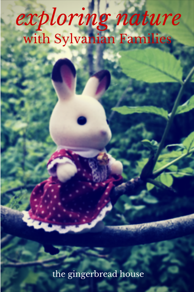 exploring nature with Sylvanian Families - holly be tells