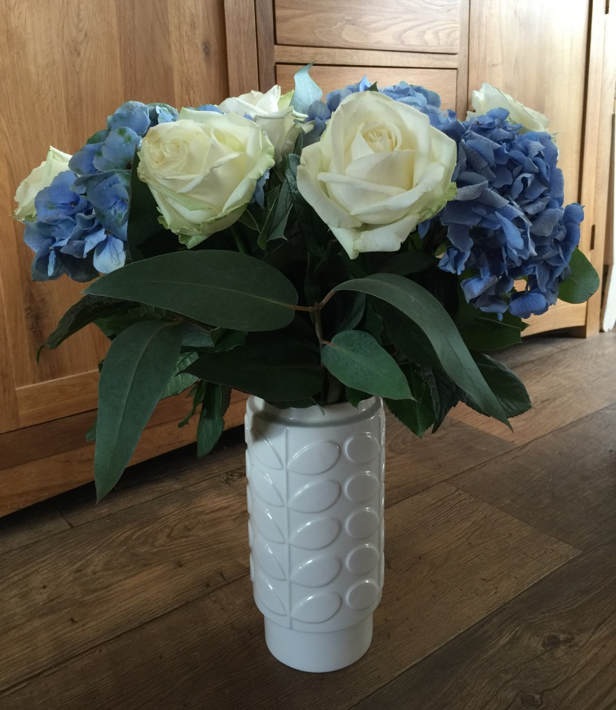 hydrangeas