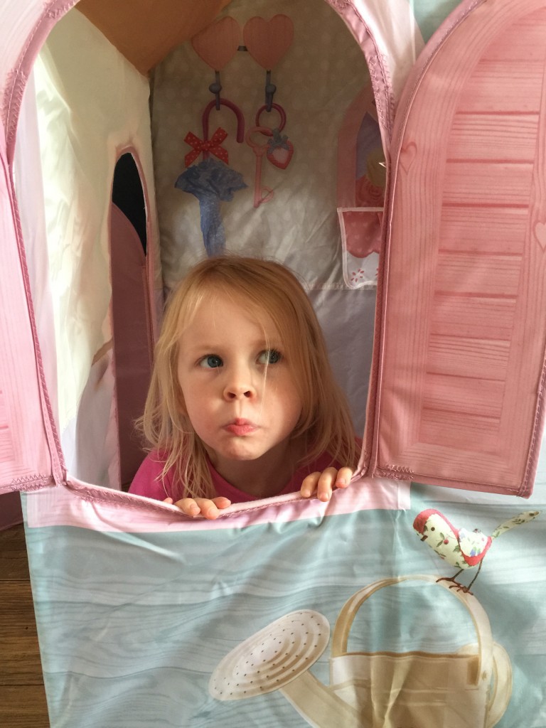 Rose Petal Cottage from DreamTown