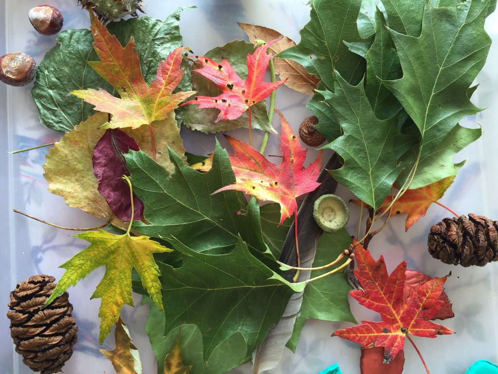 autumn sensory bin