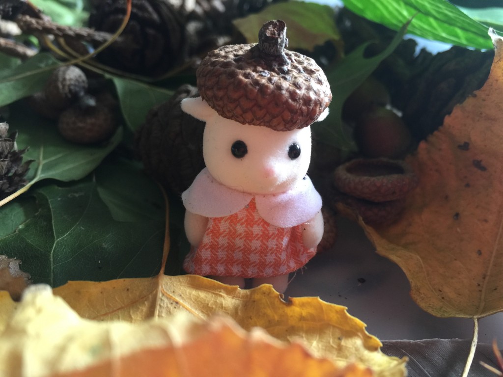 Sylvanian Families in nature