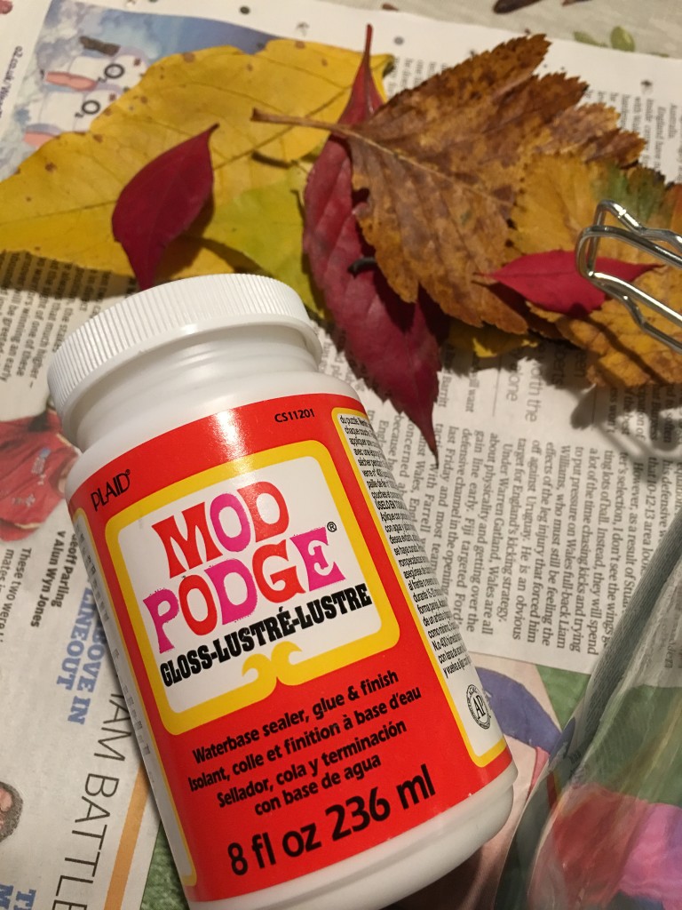 DIY Autumn leaves luminary