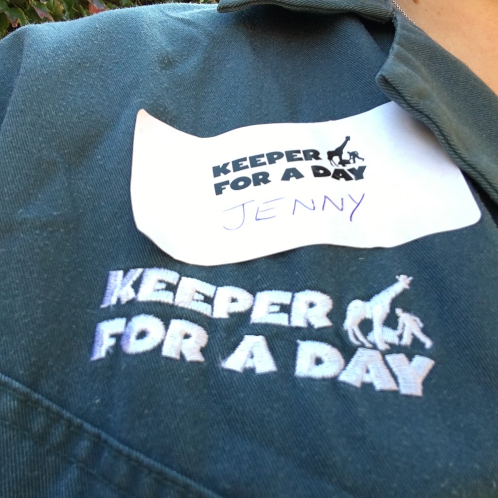 Keeper for a Day at ZSL