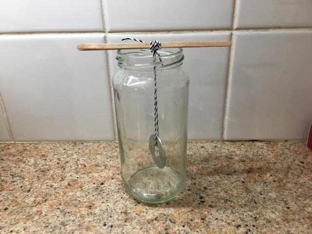 grow your own Monster salt crystals