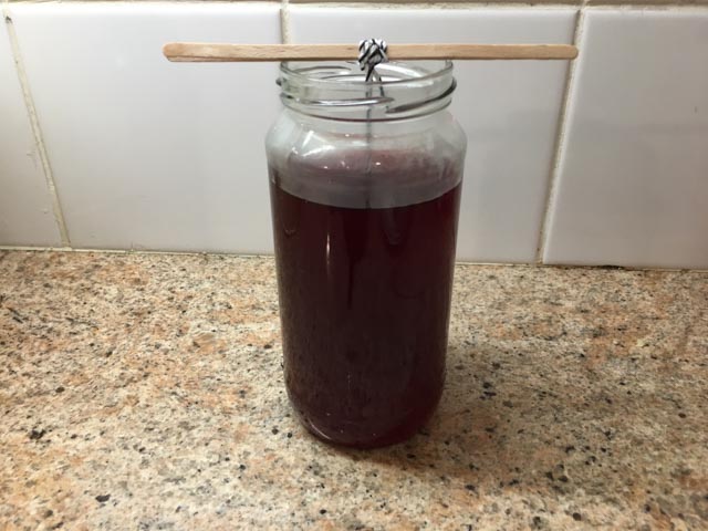 grow your own Monster salt crystals