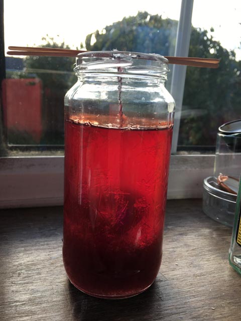 grow your own Monster salt crystals