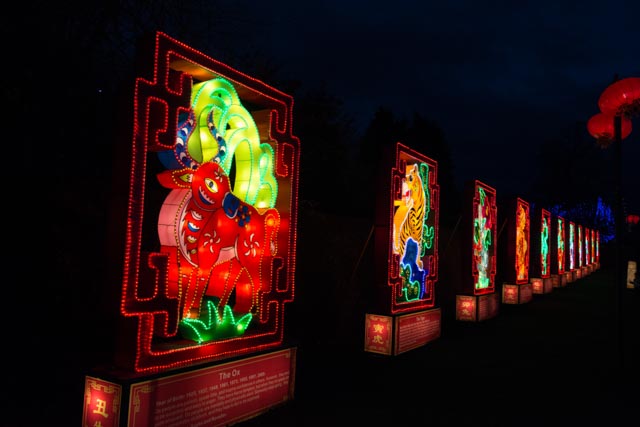 display at Longleat Festival of Lights
