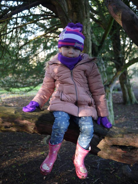 Forestry Commission Wendover Woods
