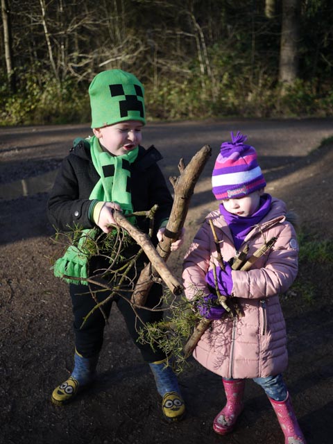 sticks for making Stick Man
