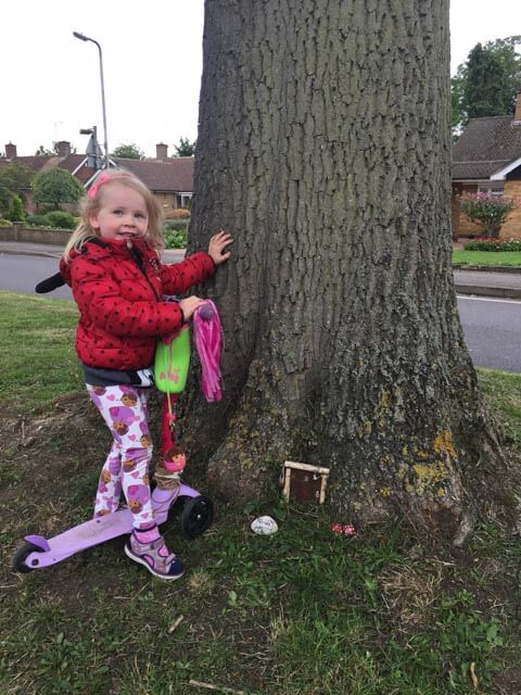 fairy door in a tree
