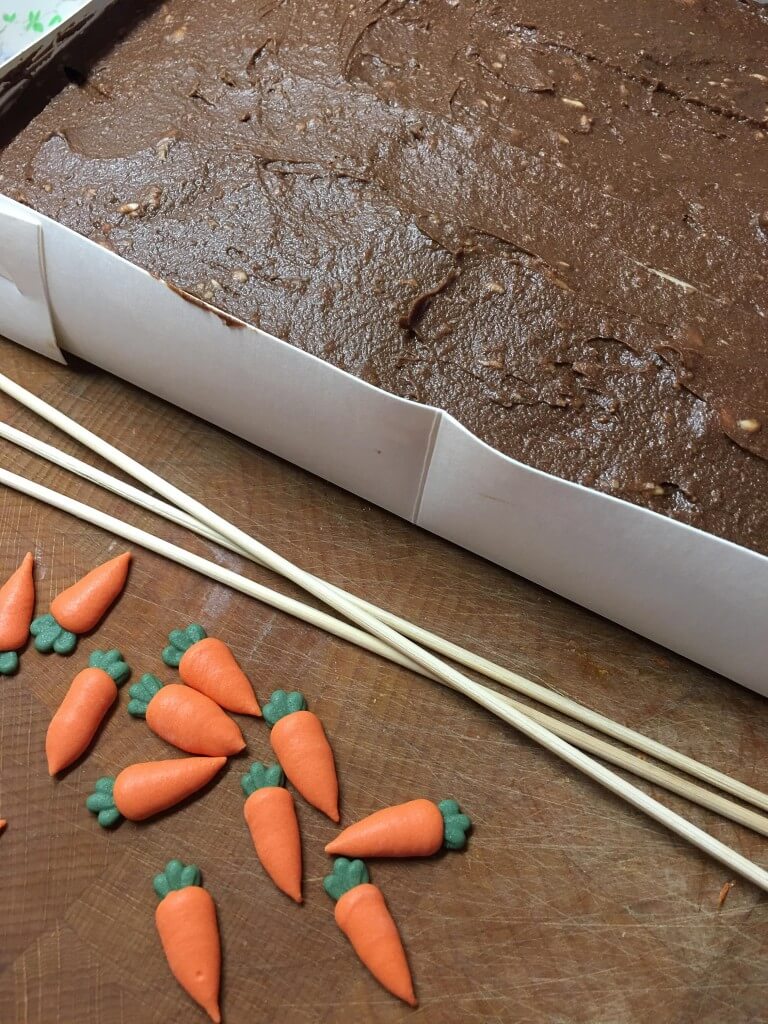 Mr McGregor's chocolate cake patch
