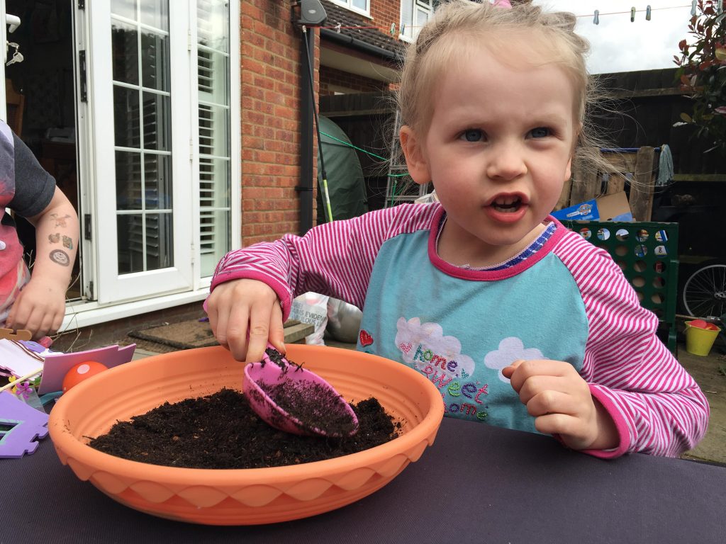 grow a fairy garden